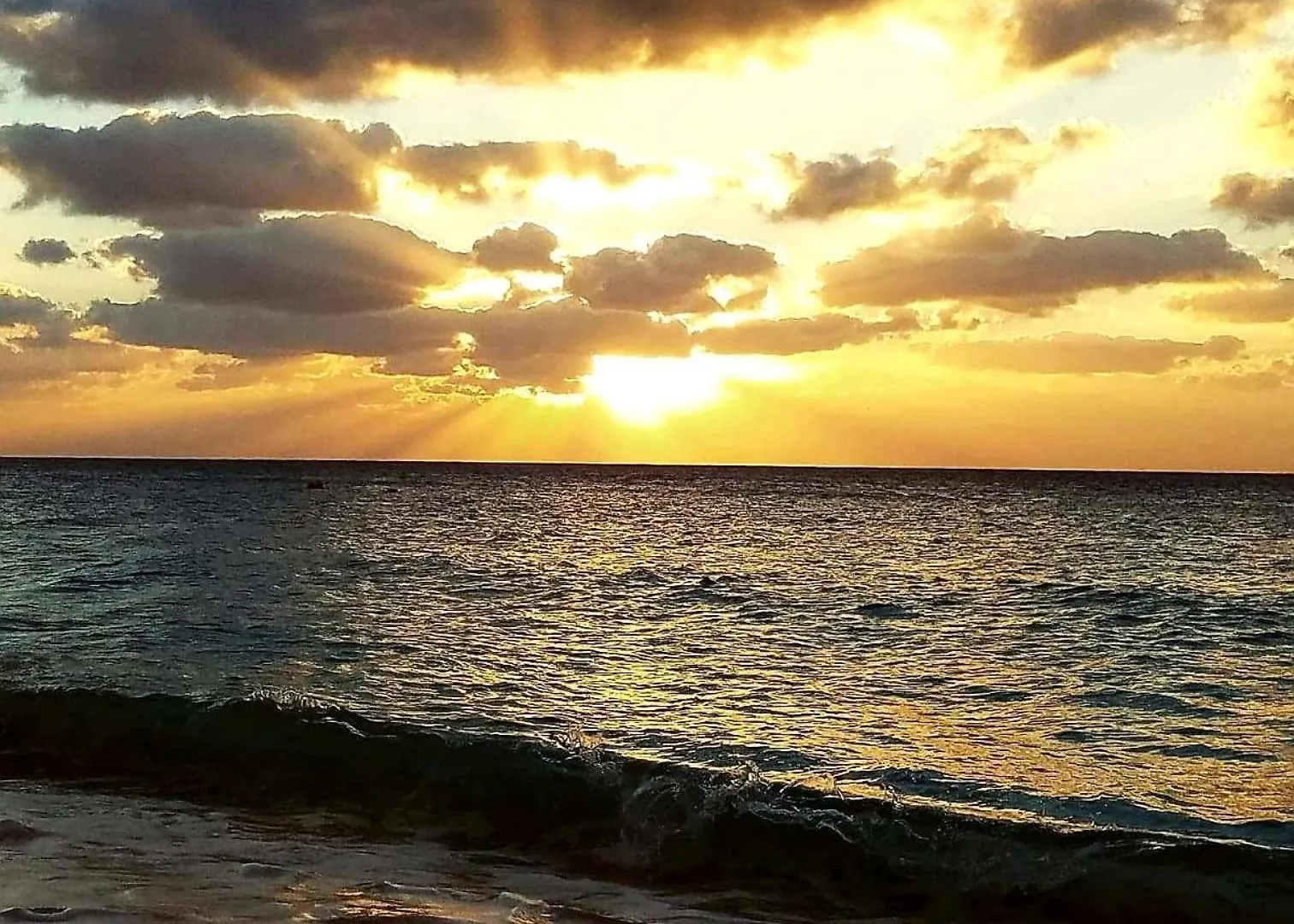 Apartment Cayman Reef Resort 7-Mile Beach George Town