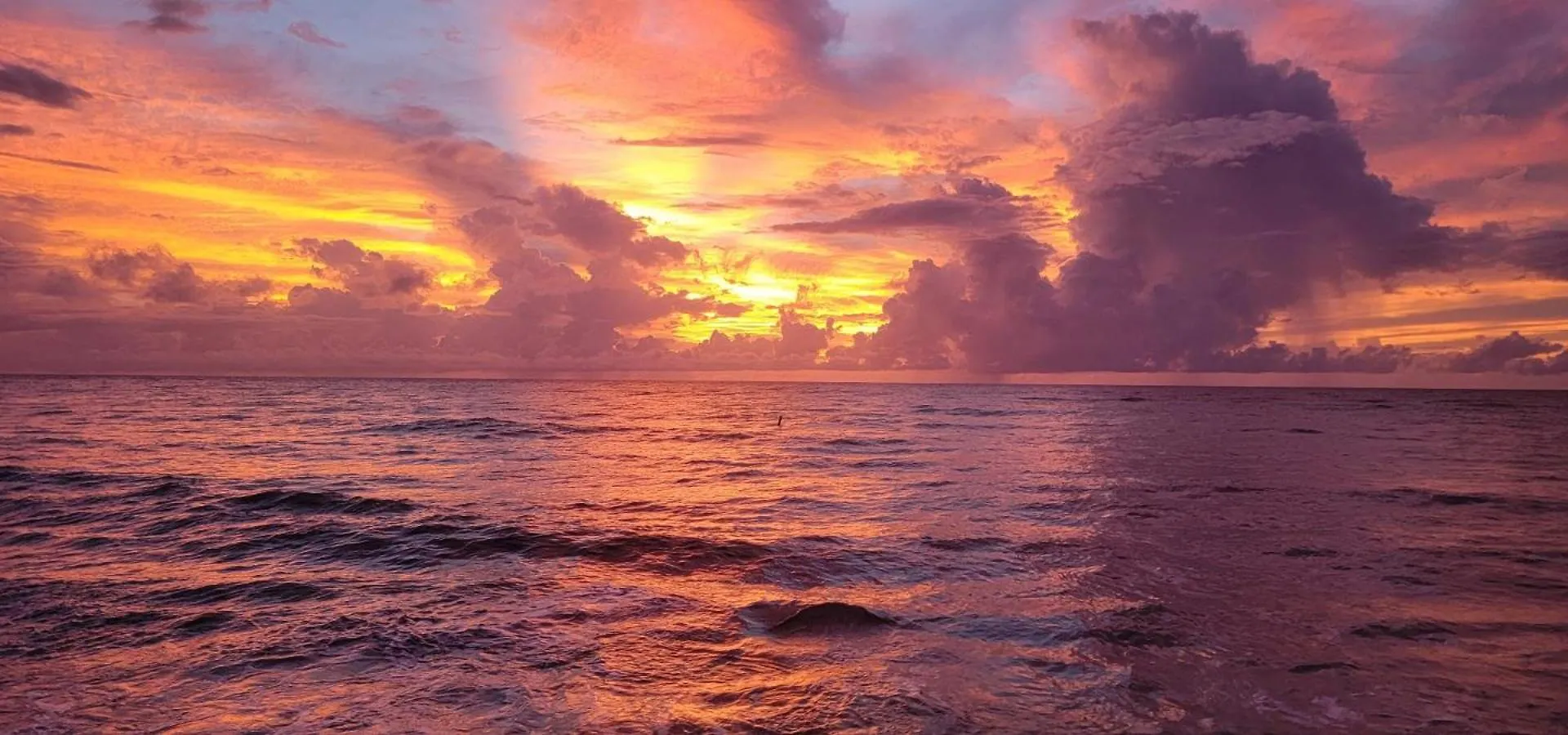 Cayman Reef Resort 7-Mile Beach George Town